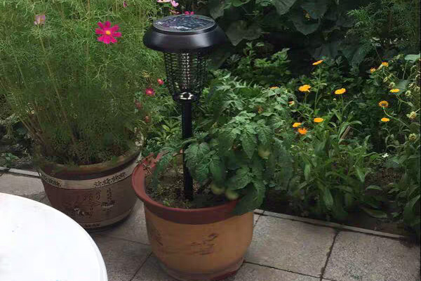 一盞花園滅蚊燈可以呵護整個庭院 一盞花園滅蚊燈可以呵護整個庭院